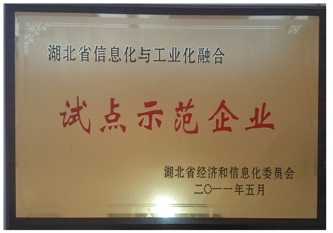 兩化融合示范企業(yè)