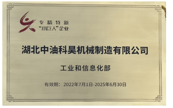 國(guó)家級(jí)專(zhuān)精特新“小巨人”企業(yè)