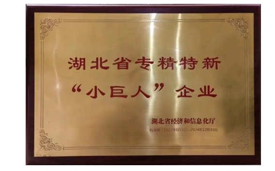 湖北省專(zhuān)精特新“小巨人”企業(yè)