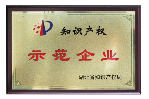 湖北省知識(shí)產(chǎn)權(quán)示范企業(yè)
